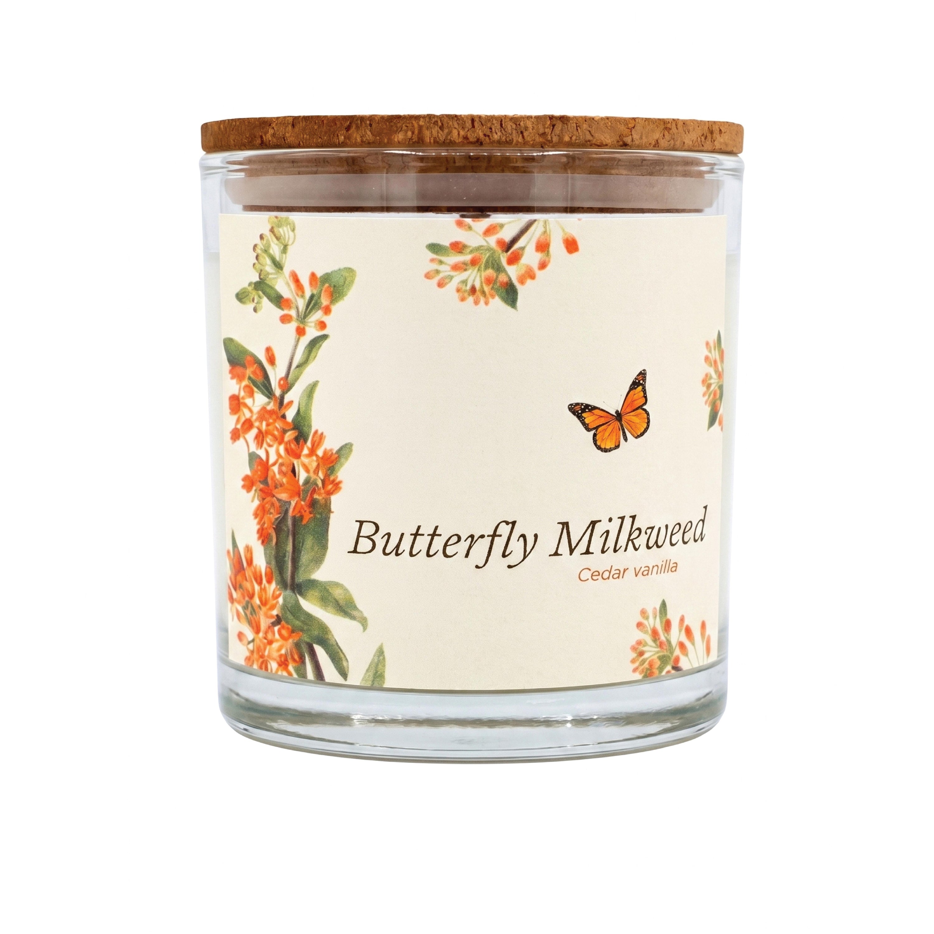 Butterfly Milkweed - Jersey Native